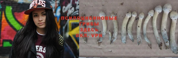 бутират Алексеевка