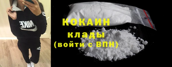 стафф Дмитриев