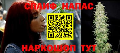 крисы Бузулук